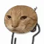 Cat_Scratch