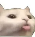 blep