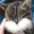 catOhNo catOhNo