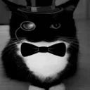 fanciercatus