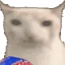 cateat