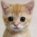 yekyahua