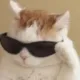 Cool