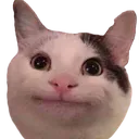 cat_pt