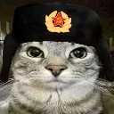 Catmrade