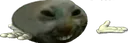 xddShrug