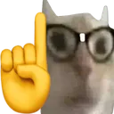 catnerd