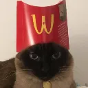 Mc_Kitty