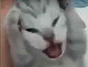 AshisOverIt