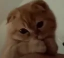 Ashneedsahug