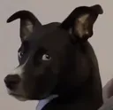 ashlookingatadmins