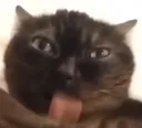 yallweirdf
