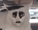 Kitler
