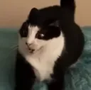Thecrackheadsatnight