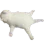 deadcat