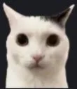 okblud
