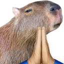 CapyPray Discord emoji