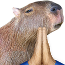 CapyPray custom emote from Speed Wallet
