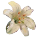 emoji_144