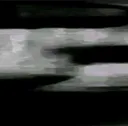 widentcat1