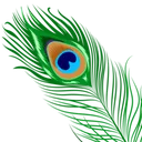 krishna2