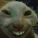 xdd