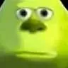 PogO