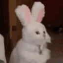 CE_EasterCat4 CE_EasterCat4