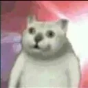 cat_80s cat_80s
