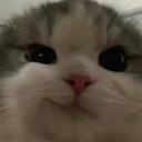 Discord Emote cat_smirk: