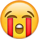 bloodycry