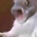 pa