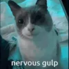 gulpcat