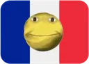flag_fr