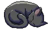 blackcat_sleepy
