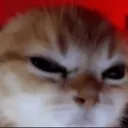 mad