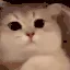 83 83