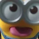 sillygoose