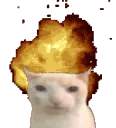 catburnfire
