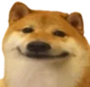 dogSmile