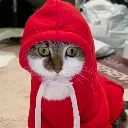 AnxiousHoodie AnxiousHoodie