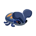 phbeetle
