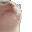 S_CatJam