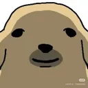 DomgomStare