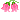 zrolespinkflowertulip