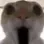 OMG