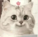 hehe