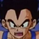 vegea vegea