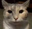 bro