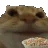 kitty_nom
